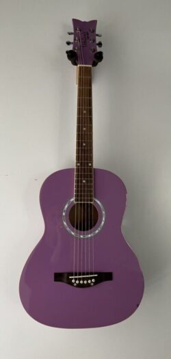 Acoustic Guitar